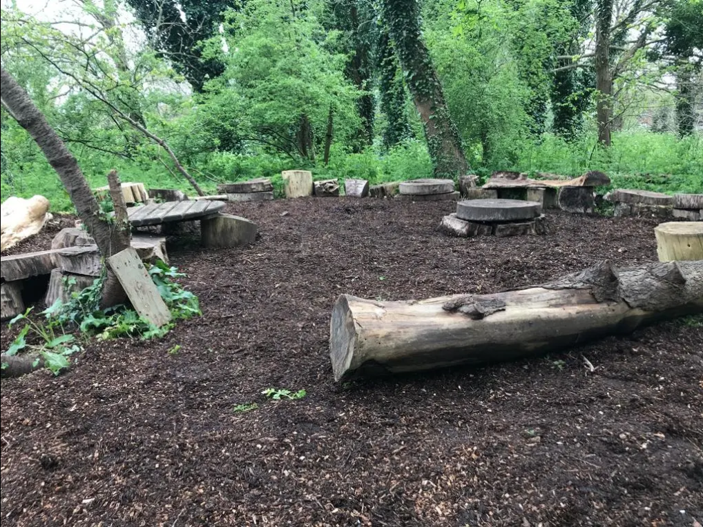 Woodland space with woodchips on the ground and some logs for seating. Greenery and young tree trunks around the clearing.