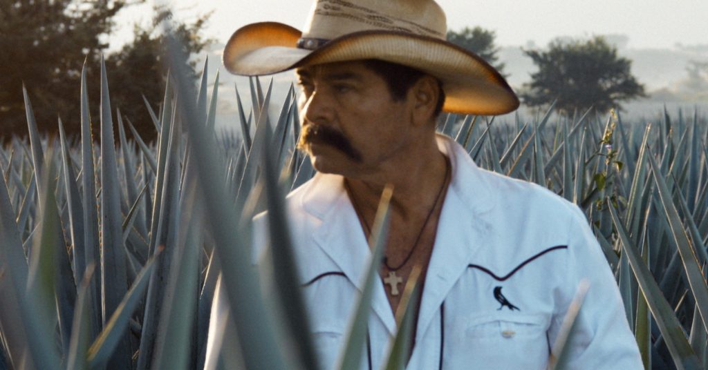 A man in a pale cowboy hat and a cowboy shirt stands in long grasses